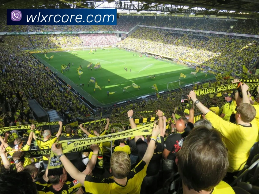 威廉希尔平台生态图