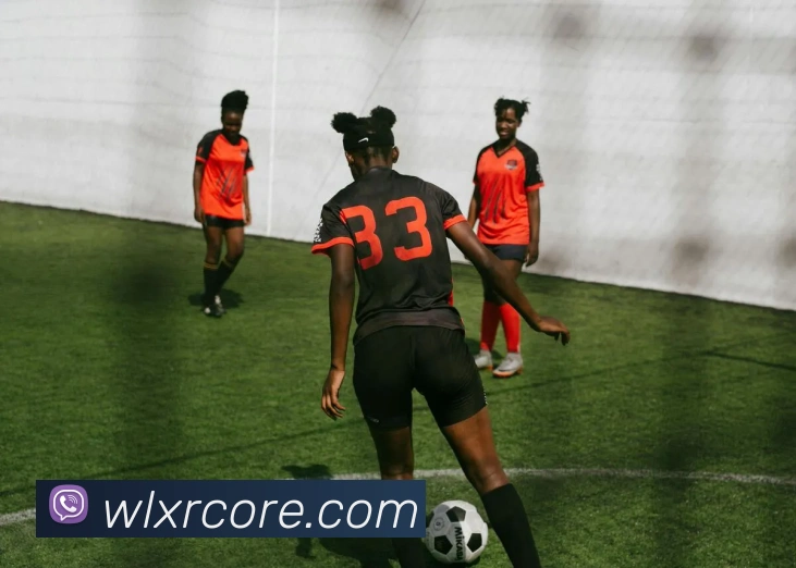 威廉希尔APP 封面图